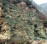 236×182